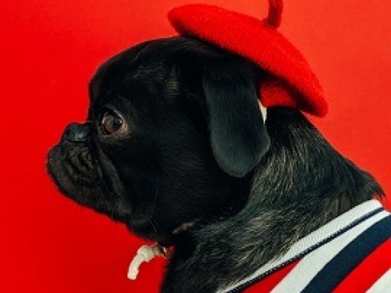 Comment développer votre marketing en France