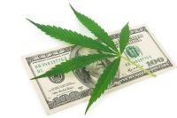 Cannabiz the pros cons of starting a marijuana business in the US